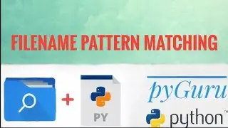 pyFiles 7 | Searching files by matching patterns | #pyGuru