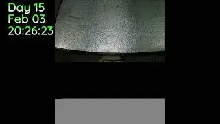 Christopher Butler Live Stream