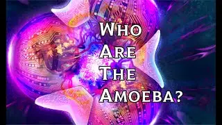 Endless Lore: Who are the Amoeba?