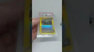 Pokemon Expedition E Series New Purchases Vintage Holos
