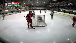 Swindon Wildcats vs. Basingstoke Bison - Game Highlights
