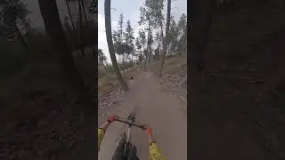 Boss hog gang gang #mtb #mtbreview #bicycle #bike #amtb #mtbbike #biking #downhill #mountainbike