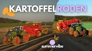 FENDT 728 Gen7 | Kartoffelroden mit GRIMME SE 260 | Summervibe Production