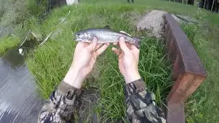 Fly Fishing Super Small Creek for Brook Trout