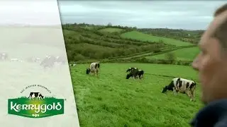 Tag im Leben eines Farmers ► Kerrygold