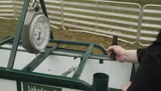 The Lakeland Virtual Trade Show &mdash; The Sheep/Goat Weigh Scale (PN-440)
