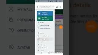 seosprint.net 2nd payment proof.