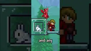 This is Something Nobody Knows About Terraria!