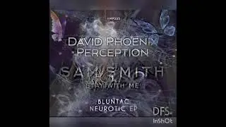 David Phoenix- Perception VS Sam Smith- Stay With Me (DFS Platz Remix)