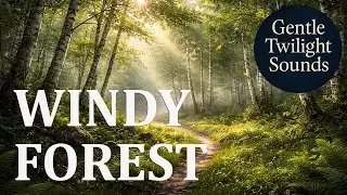 Windy Forest | Birch Forest Ambience for Sleep & Insomnia Relief
