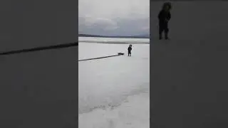 12 мая 2021 г.