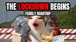 CAT MEMES: THE LOCKDOWN BEGINS