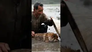 Elderly Hero Shelters and Comforts Dog in Muddy Rice Paddy