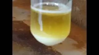 Cats claw acacia tree distillation