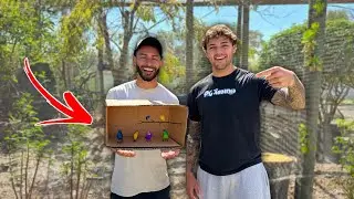 I Released ALL My RARE BIRDS Into The AVIARY!