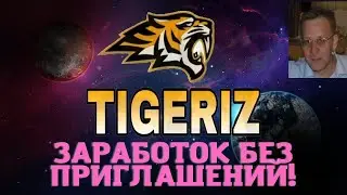 #TIGERIZ. ЗАРАБОТОК БЕЗ ПРИГЛАШЕНИЙ! Обзор проекта.