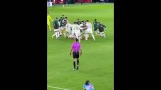 Le grand Soir de L' Alg&eacute;rie 🇩🇿🤯🥶. #football #afrique #goals  #skills #soccer #algerie #goat