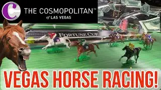 COSMOPOLITAN Horse Racing Machine! Las Vegas Casino! Fortune Deluxe Derby Cup! 2021!