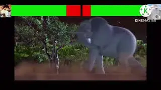 Leo the lion vs Maximise elephante (Leo the lion 2013)