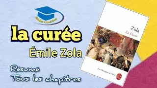 La Cur&eacute;e, Zola, r&eacute;sum&eacute; tr&egrave;s d&eacute;taill&eacute; et complet par chapitre.   #zola #romans #analyse #la_cur&eacute;e #s4