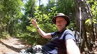 Summer Heat Hike Forever Wild Blakeley State Park