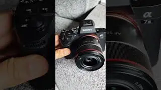 My Fav Combo Sony A7iii and Samyang 35mm 1.8 fe #sony #camera #a7 #35mm #samyang #shorts #trending
