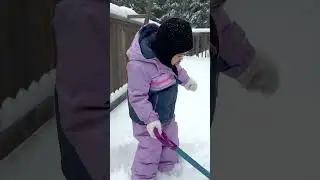 Baby shark doo doo doo doo #subscribers #followers #babysharkdoodoodoodoo #toddler #snowfall