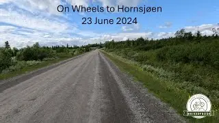 Summer idyll on Hornsj&oslash;vegen 🚵&zwj;♂️🌲 @Bikerfrode