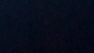 Fall Guys customs with viewers