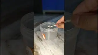 Amazing Science Experiment With Baking Soda #shorts