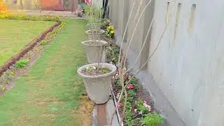 Rooftop Garden by Geo Solutions.