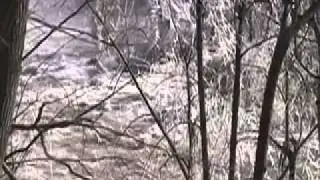 Torrents of Spring
