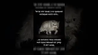 Scary Tale #Страшилка #Страшилки #Scarytale #Страшнаяистория