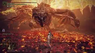 BAYLE THE DREAD BOSS FIGHT