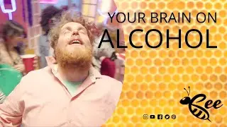 Uncorking the Truth- How Alcohol Accelerates Brain Aging