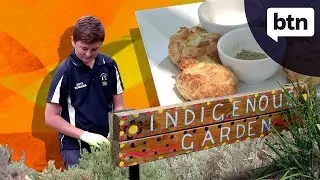 Bush Tucker Garden - Behind the News