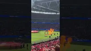 Up the reds