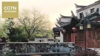 Цзинсянь[Age 0+]