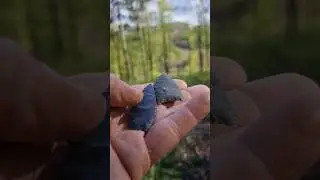 siliceous shale