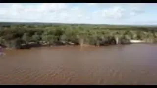 Lake cootharaba sailing drone footage