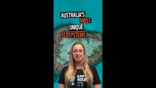 Protect the Great Barrier Reef this Earth Hour 💙