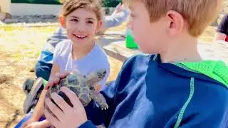 Critter Camp weekly summer camps!