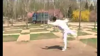 Dongbei Chuojiao  [东北 戳脚拳]