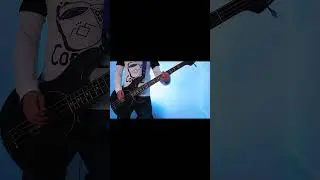This band makes the catchiest bass lines #bass #bassline #bassguitar #bassist