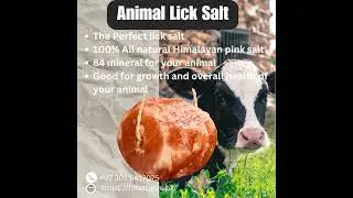 Animal Lick Salt Available 2023 #amazing #new #salt  #trending