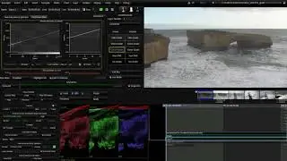 Baselight Scopes  RGB Parade
