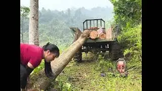 Alone in the Village &ndash; Timber Transport Using a Powerful Tractor