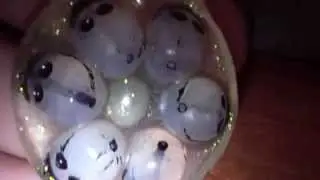 Ciondolo con teschi in resina anallergica. Mia produzione.