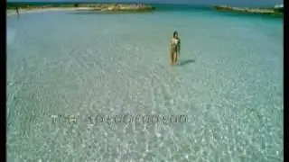 2008 Cyprus Tourism Organisation