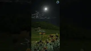 Beautiful Night Relaxation Music | Nature-themed Films #relaxing #shorts #nature #naturethemedfilms